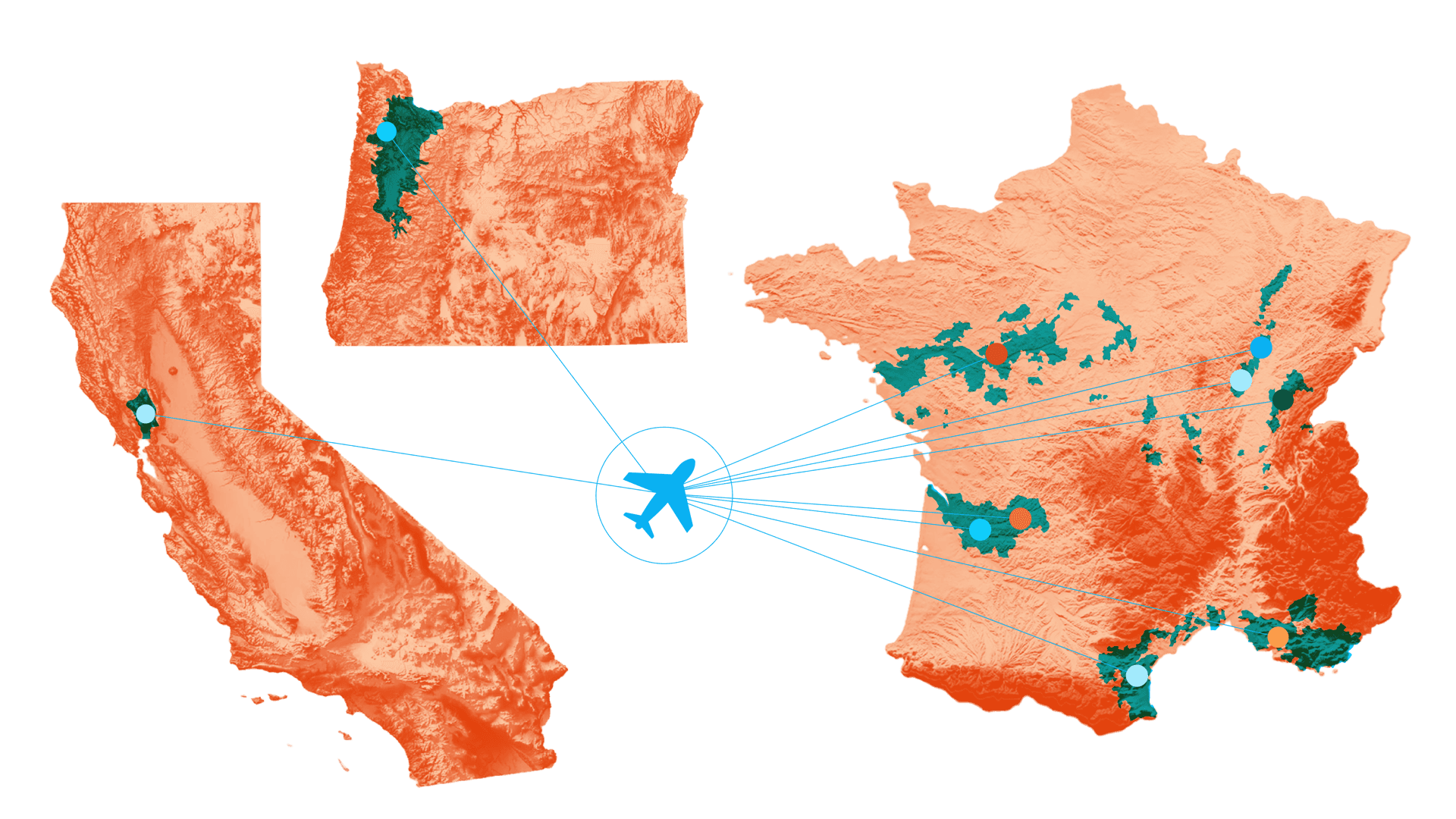 Jocelyn Hlawaty exploring wine regions in California, Oregon, and France
