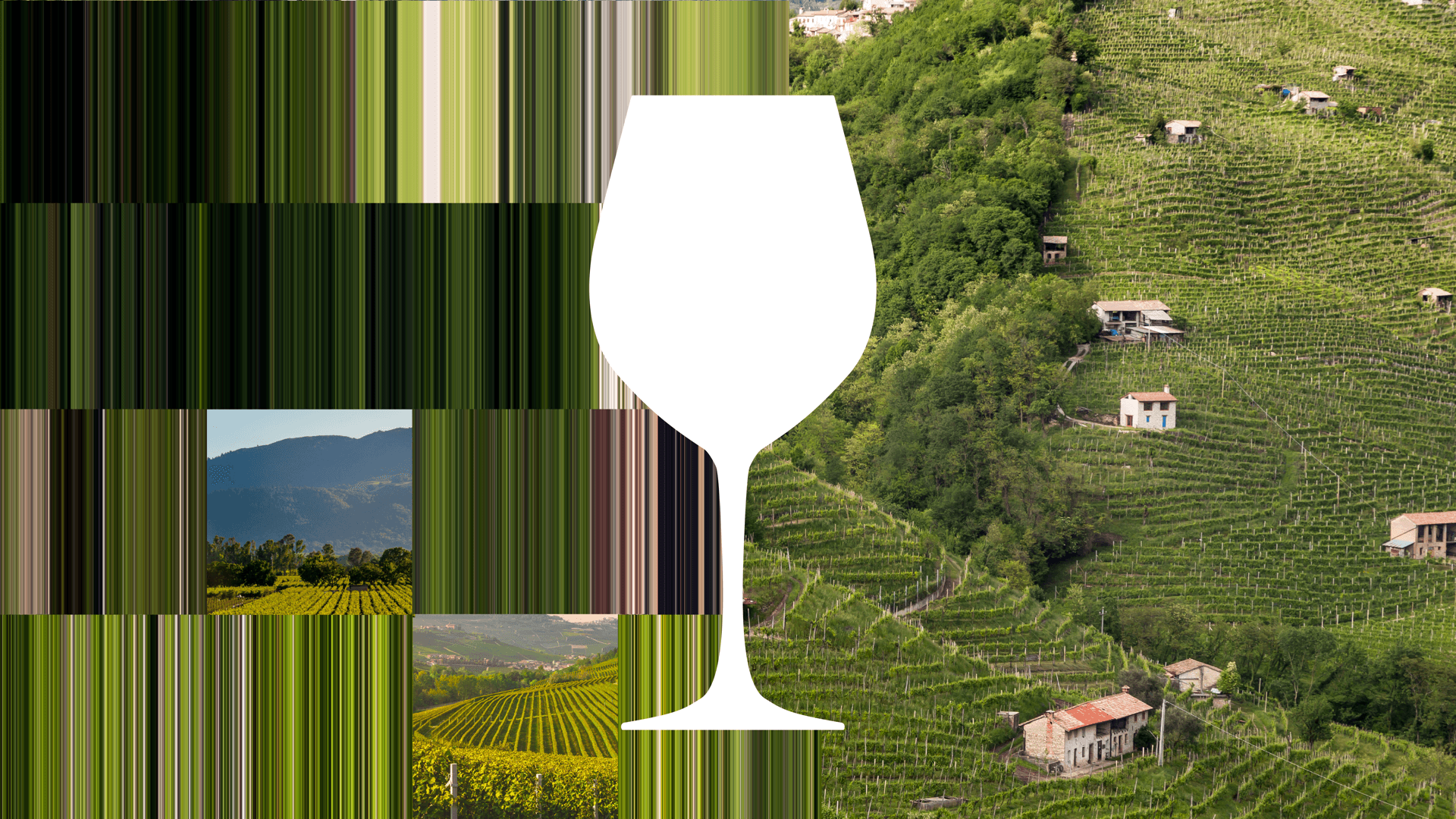 Sip & Sabbatical: The Intersection of AI and Tradition in the Wine Industry