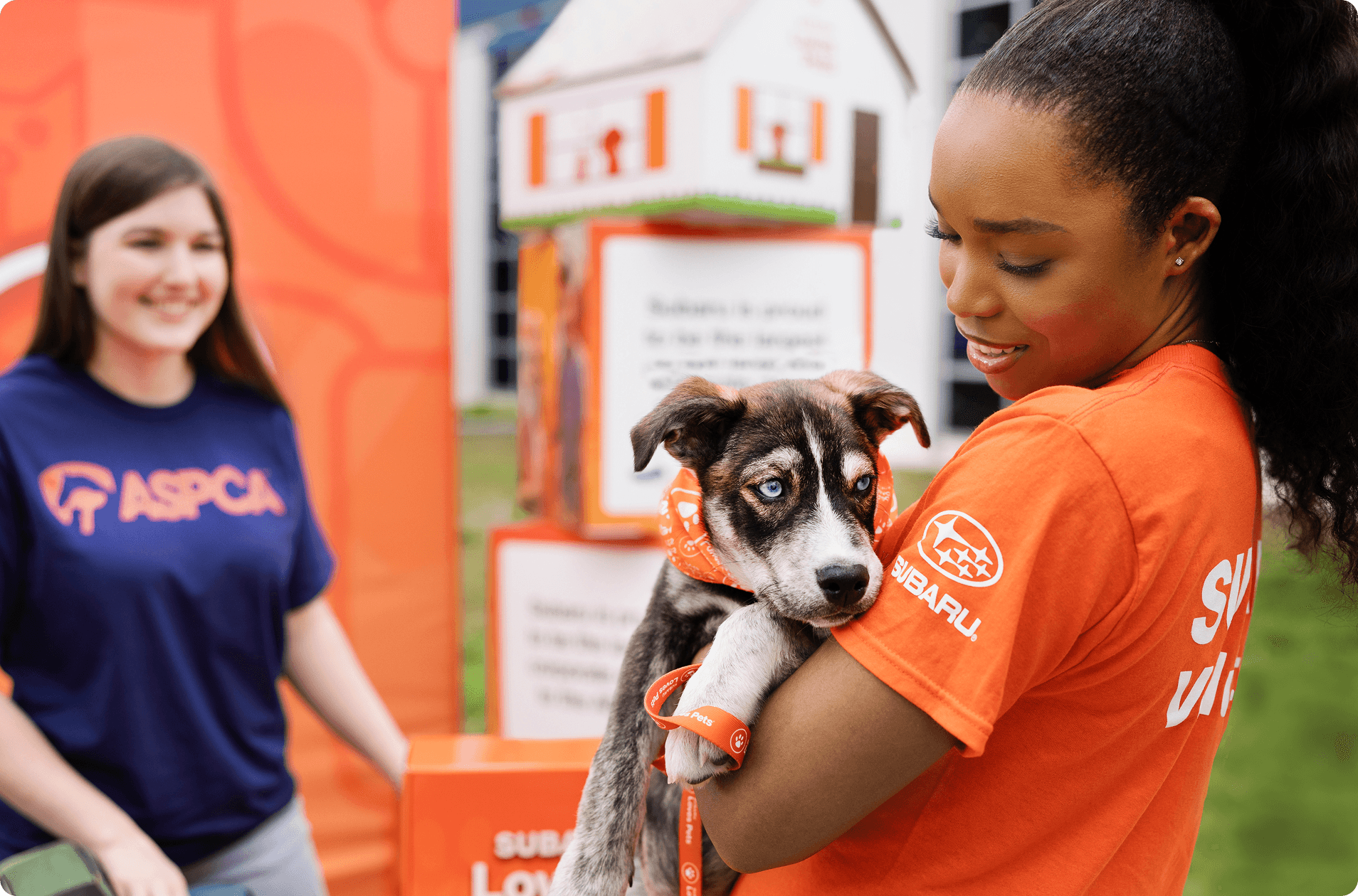 Amplifying Impact Through Scalable Creative