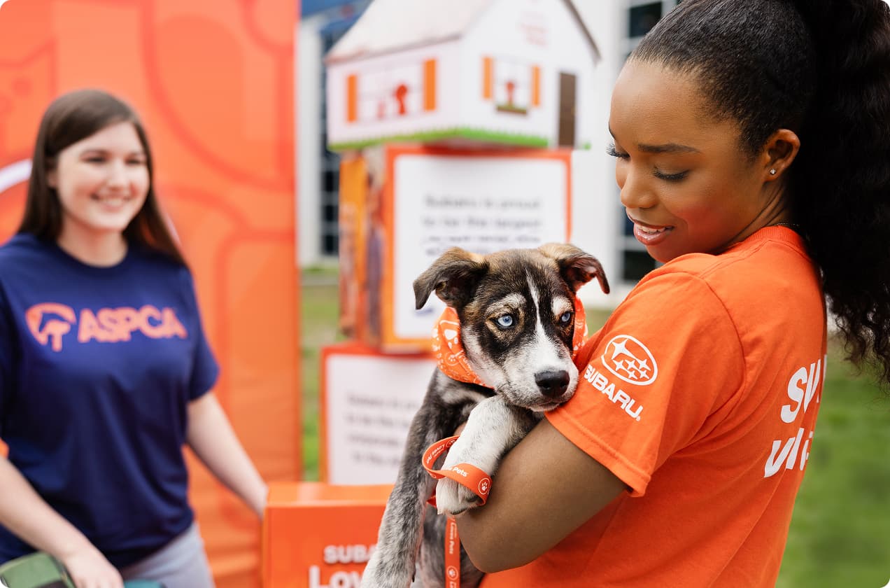 Amplifying Impact Through Scalable Creative